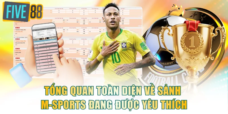 Tổng quan toàn diện về sảnh M-sports đang được yêu thích